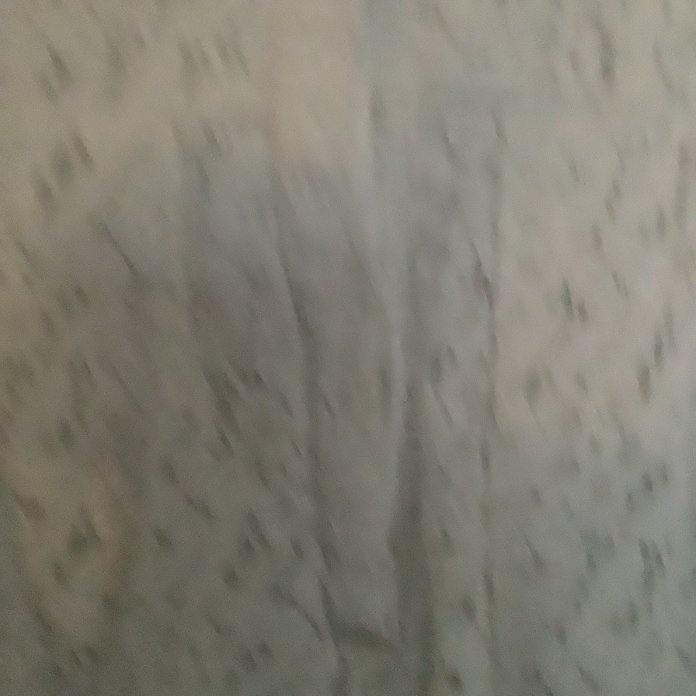 Lace mini dress - Picture 9 of 11